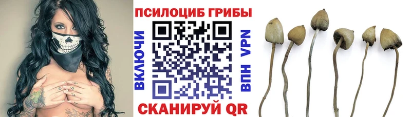 где продают наркотики  kraken ТОР  Галлюциногенные грибы прущие грибы  Первоуральск 